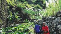 our programme: individual trips