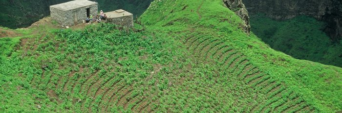 üppige Hügellandschaft im tiefsatten Grün auf Brava