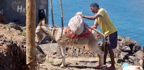 Transport_auf_den_Kapverden_Gaestephotos_vista_verde_tours