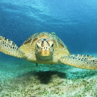 welcome to vista verde tours: the expert for Cape Verde