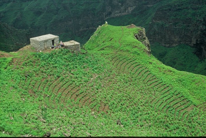 üppige Hügellandschaft im tiefsatten Grün auf Brava