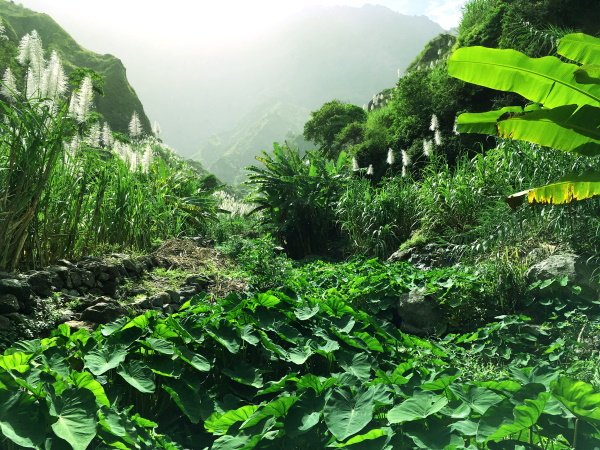 Tagesausflug Santo Antao: im Paúl Tal auf Santo Antão Im Val do Paúl auf Santo Antão