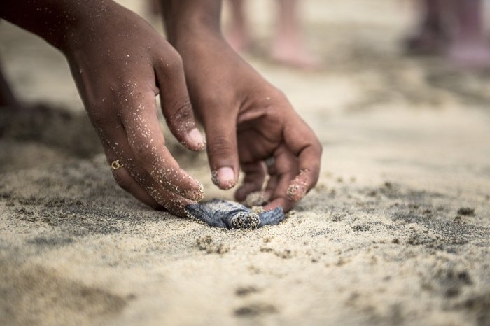 Nachhaltig Reisen auf die Kapverden - wir unterstützen den Schildkrötenschutz