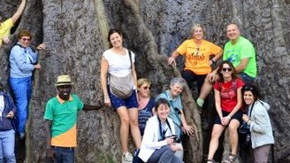 Special Interest: group travel with the club