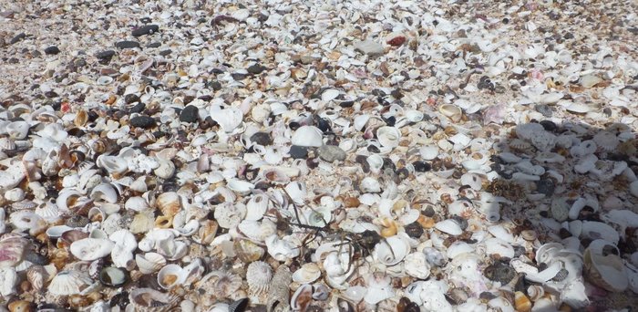 Santa Luzia: The deserted island of mystical and magical legends