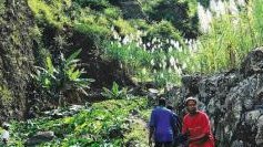 our programme: individual trips