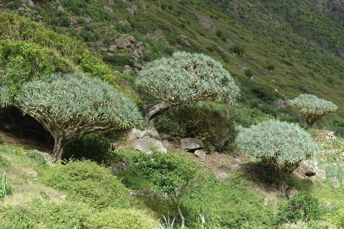 São Nicolau: diverse and pure nature