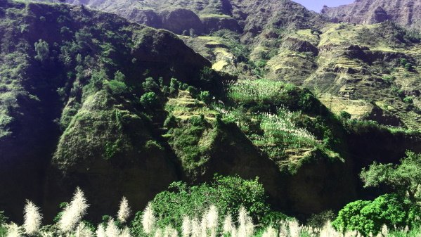 die Wanderinsel Santo Antão ist beeindruckend und ursprünglich Blick ins grüne Tag von Santo Antão
