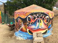 Full day tour São Vicente - turtle graffiti