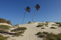 Sahara auf Boa Vista Sahara auf Boa Vista