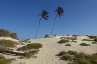 Sand desert on Boa Vista