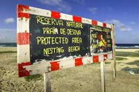 Turtle protection Cape Verde