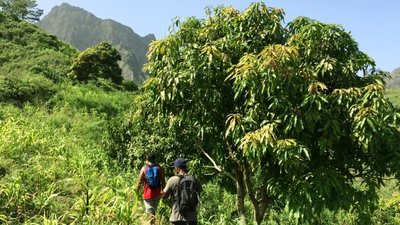 Best Selection: Eckdaten Wanderung auf Santiago