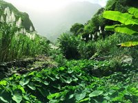 Tagesausflug Santo Antao: im Paúl Tal auf Santo Antão Im Val do Paúl auf Santo Antão