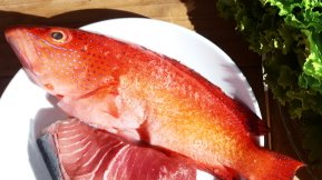 frische Zutaten vom Markt für ein Fischrezept