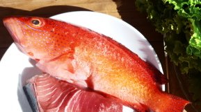 Kulinarisches auf den Kapverden - Fischrezept frische Zutaten vom Markt für ein Fischrezept