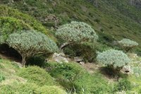 Daytrip Cabo Verde Daytrip Cabo Verde