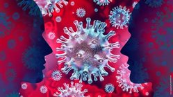 Schemazeichnung Corona Virus