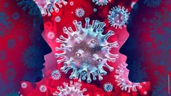 Corona Virus Schemazeichnung Corona Virus