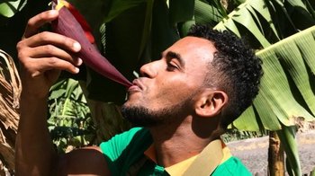 Island Trip to Santo Antão Island Trip to Santo Antão