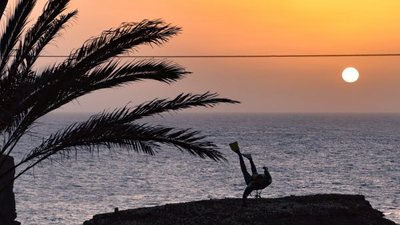 Reisetipp des Monats:Unterkunft Musica do Mar Reisetipp des Monats:Unterkunft Musica do Mar
