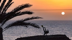 Reisetipp des Monats:Unterkunft Musica do Mar Reisetipp des Monats:Unterkunft Musica do Mar